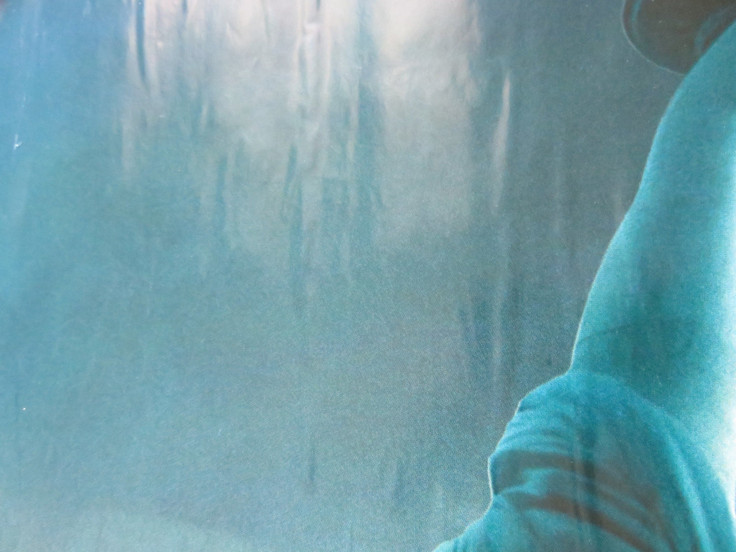 CLOVERFIELD UK QUAD (30"x 40") ROLLED POSTER LIZZY CAPLAN JESSICA LUCAS 2008 Rendezvous Cinema Movie posters