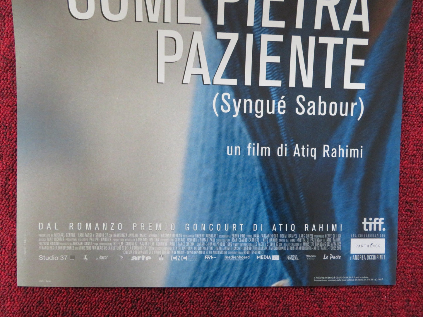 COME PIETRA PAZIENTE ITALIAN LOCANDINA POSTER GOLSHIFTEH FARAHANI 2012 Rendezvous Cinema Movie posters