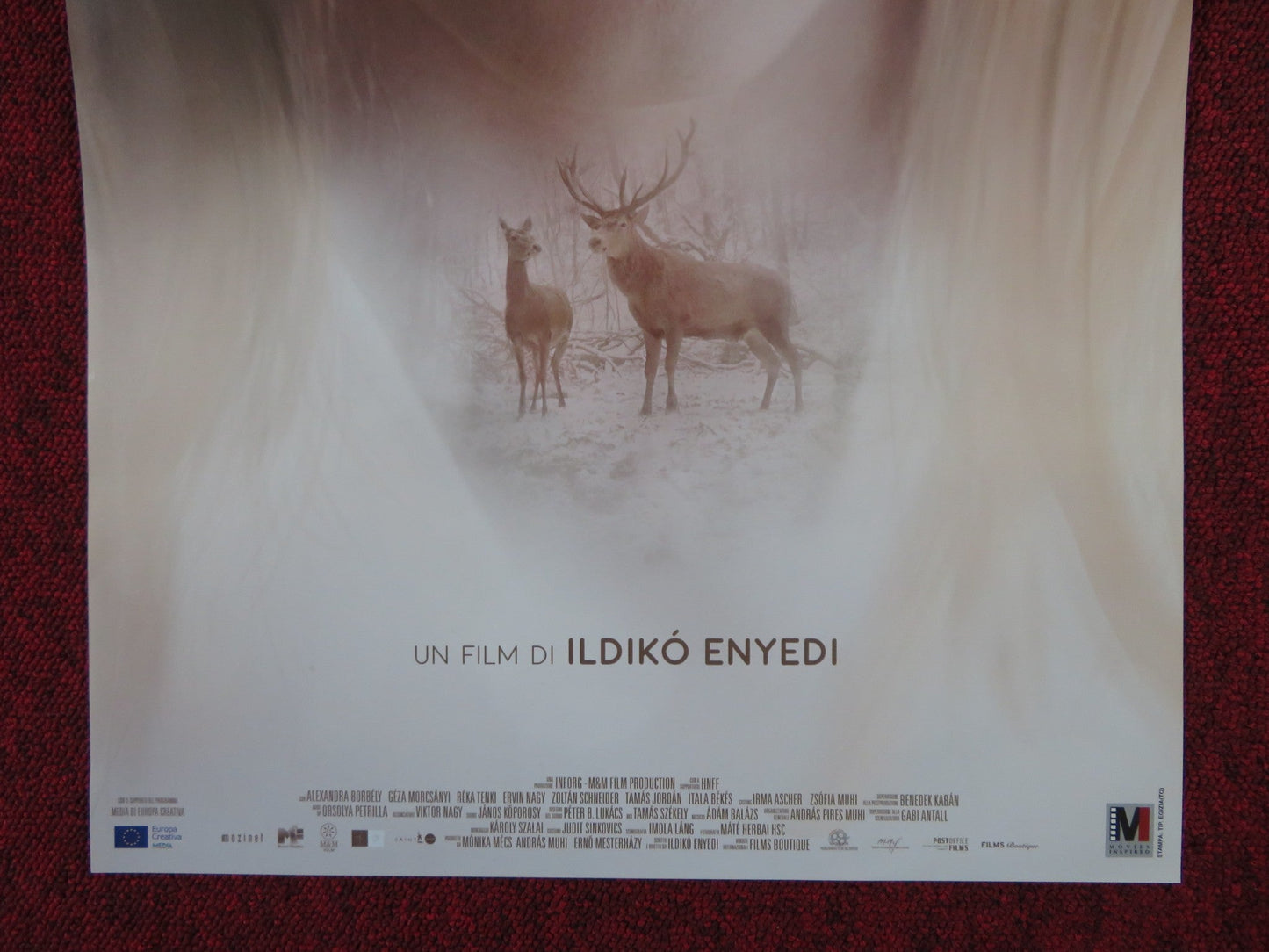 CORPO E ANIMA ITALIAN LOCANDINA POSTER ALEXANDRA BORBELY GEZA MORCSANYI 2017 Rendezvous Cinema Movie posters