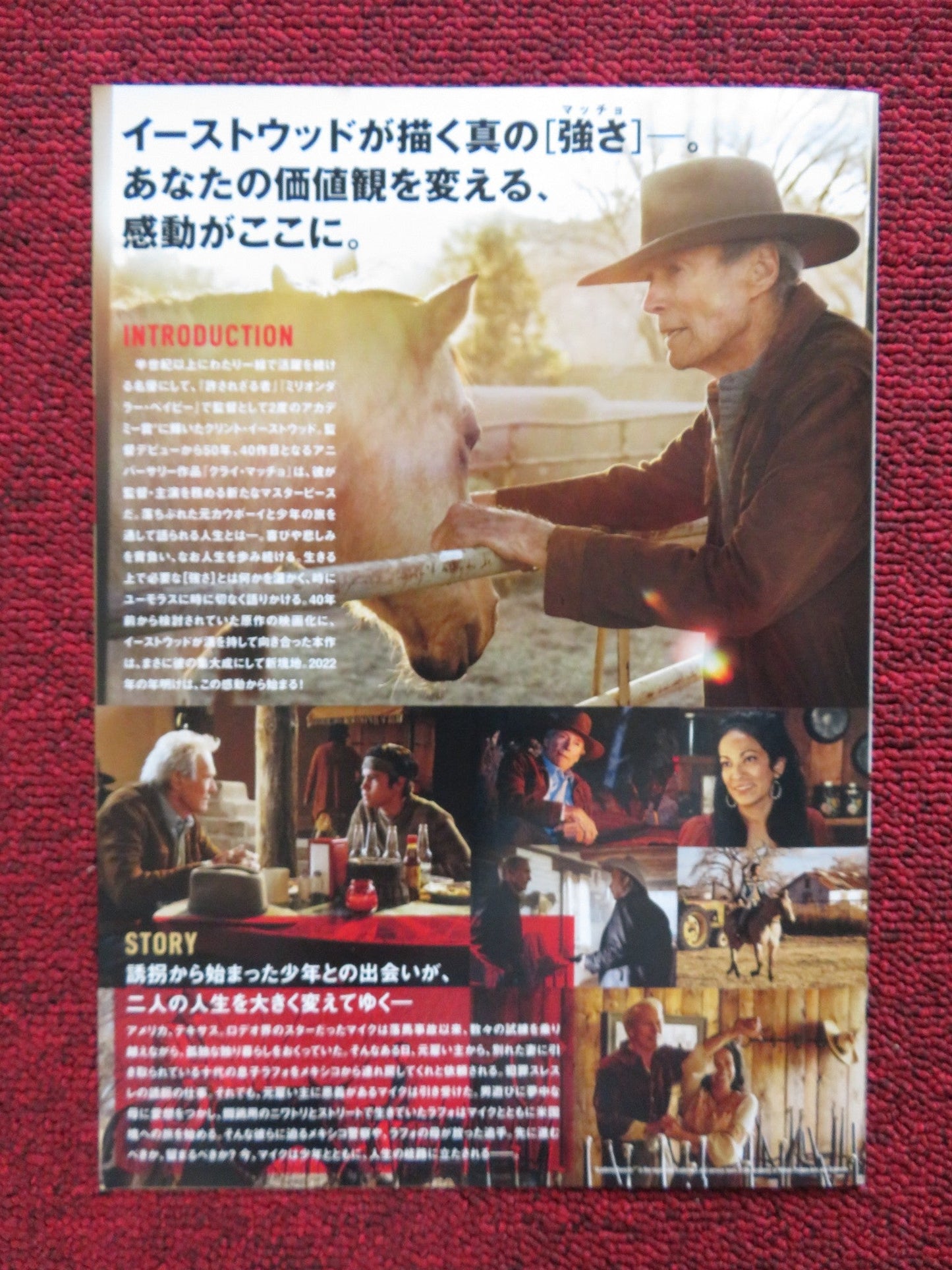 CRY MACHO JAPANESE CHIRASHI (B5) POSTER CLINT EASTWOOD DWIGHT YOAKAM 2021 Rendezvous Cinema Movie posters