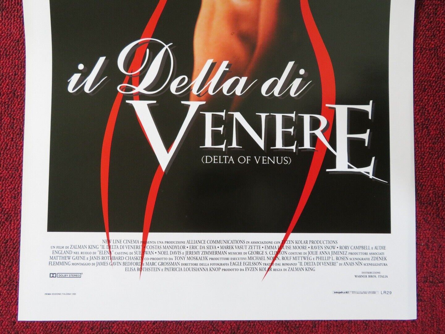 DELTA OF VENUS ITALIAN LOCANDINA (27.5"x13") POSTER ERIC DA SILVA 1995 - Rendezvous Cinema