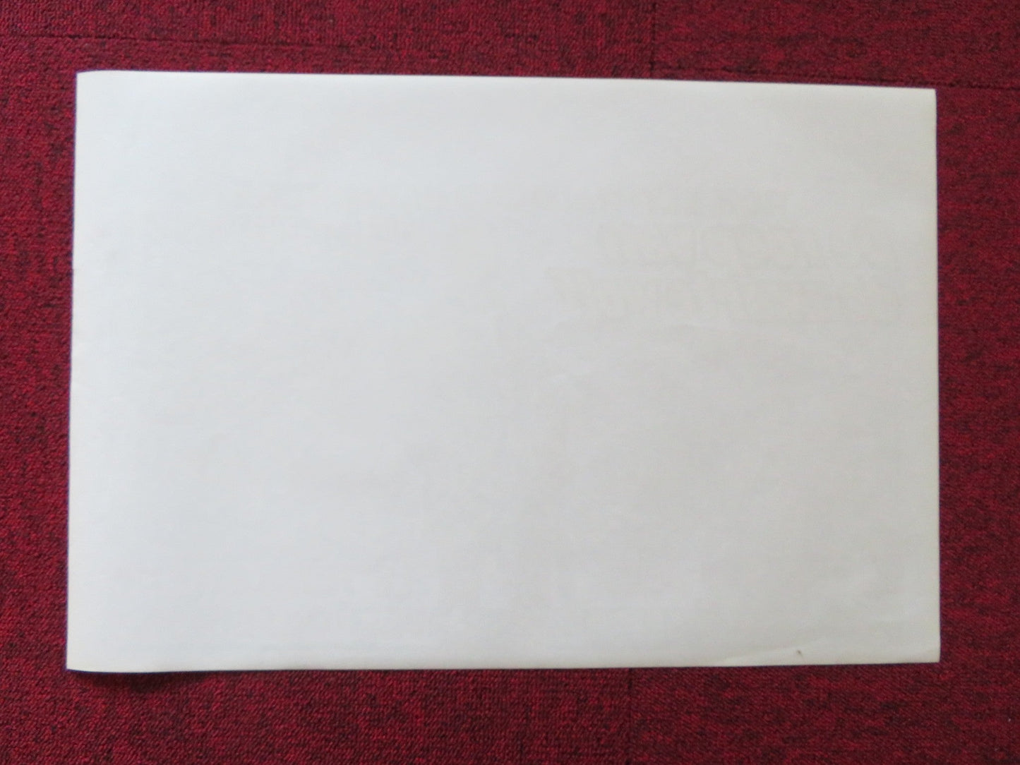 DER SCHREI DER SCHWARZEN WOLFE BELGIUM (14.5"x 21") POSTER RON ELY 1972 Rendezvous Cinema Movie posters