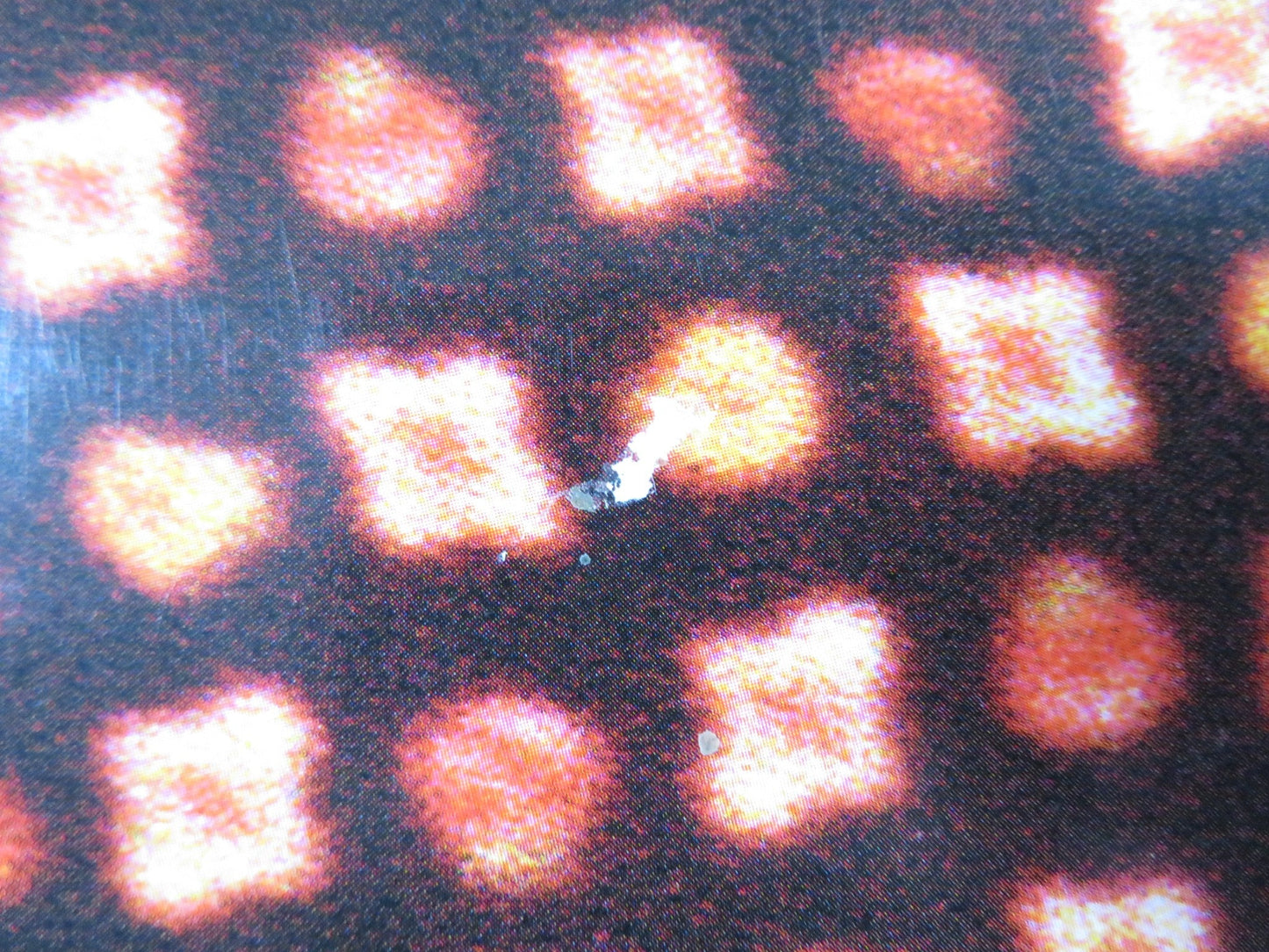 DIRTY DANCING HAVANA NIGHTS US ONE SHEET ROLLED POSTER DIEGO LUNA GARAI 2004 Rendezvous Cinema Movie posters