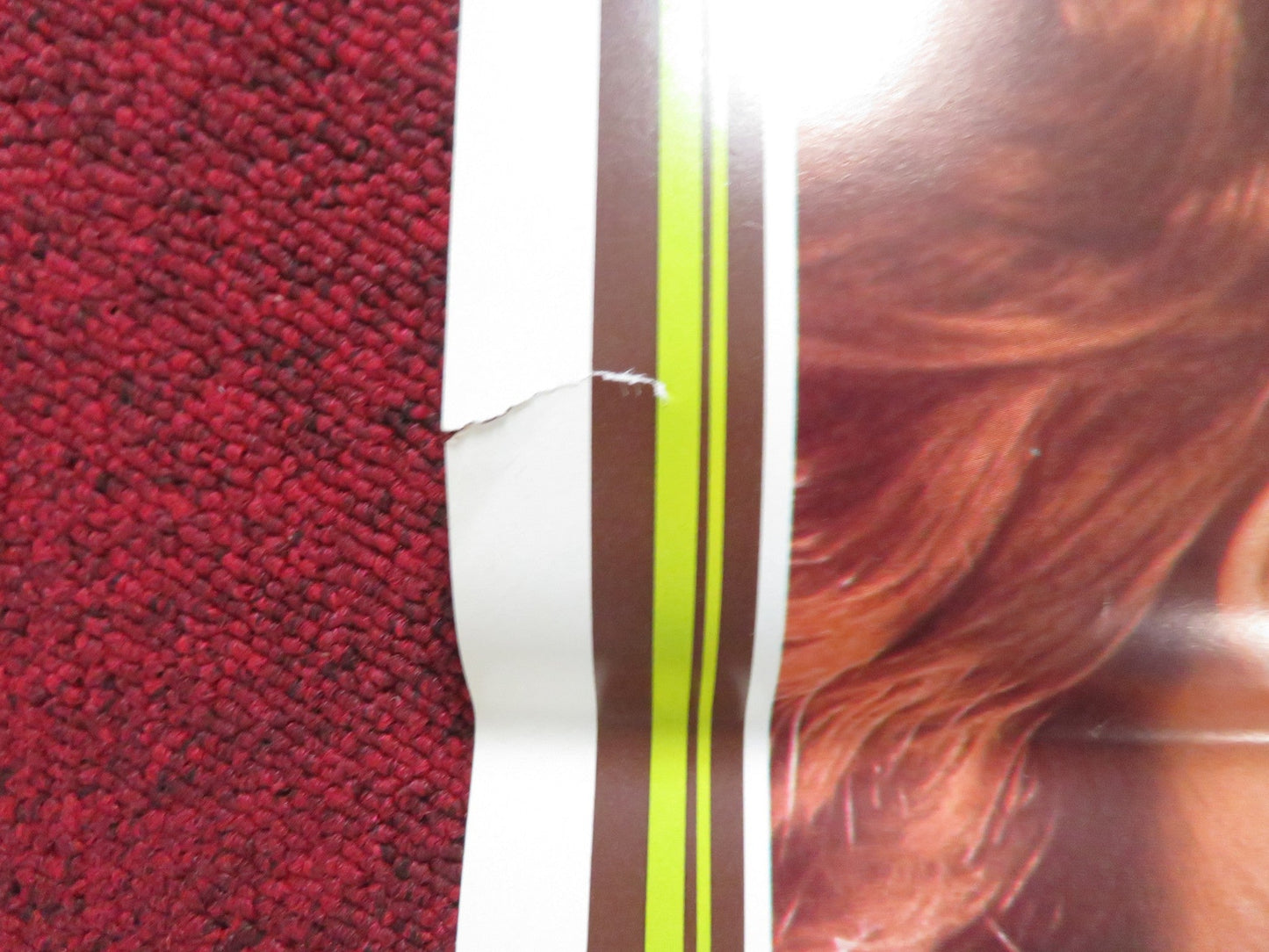 ENDLESS LOVE ITALIAN LOCANDINA POSTER BROOKE SHIELDS MARTIN HEWITT 1981 Rendezvous Cinema Movie posters