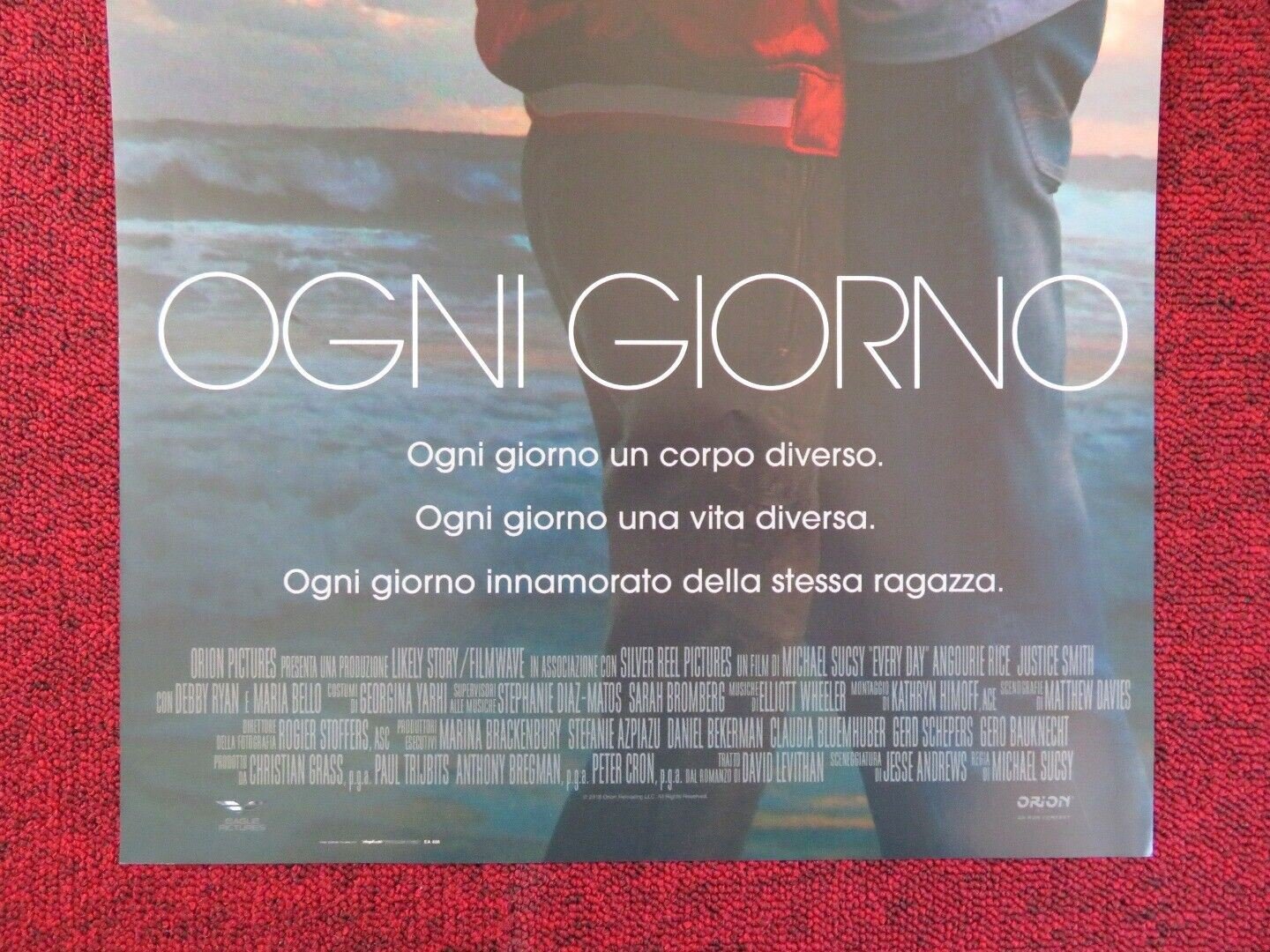 EVERY DAY ITALIAN LOCANDINA (26.5"x12.5") POSTER ANGOURIE RICE 2018 Rendezvous Cinema Movie posters