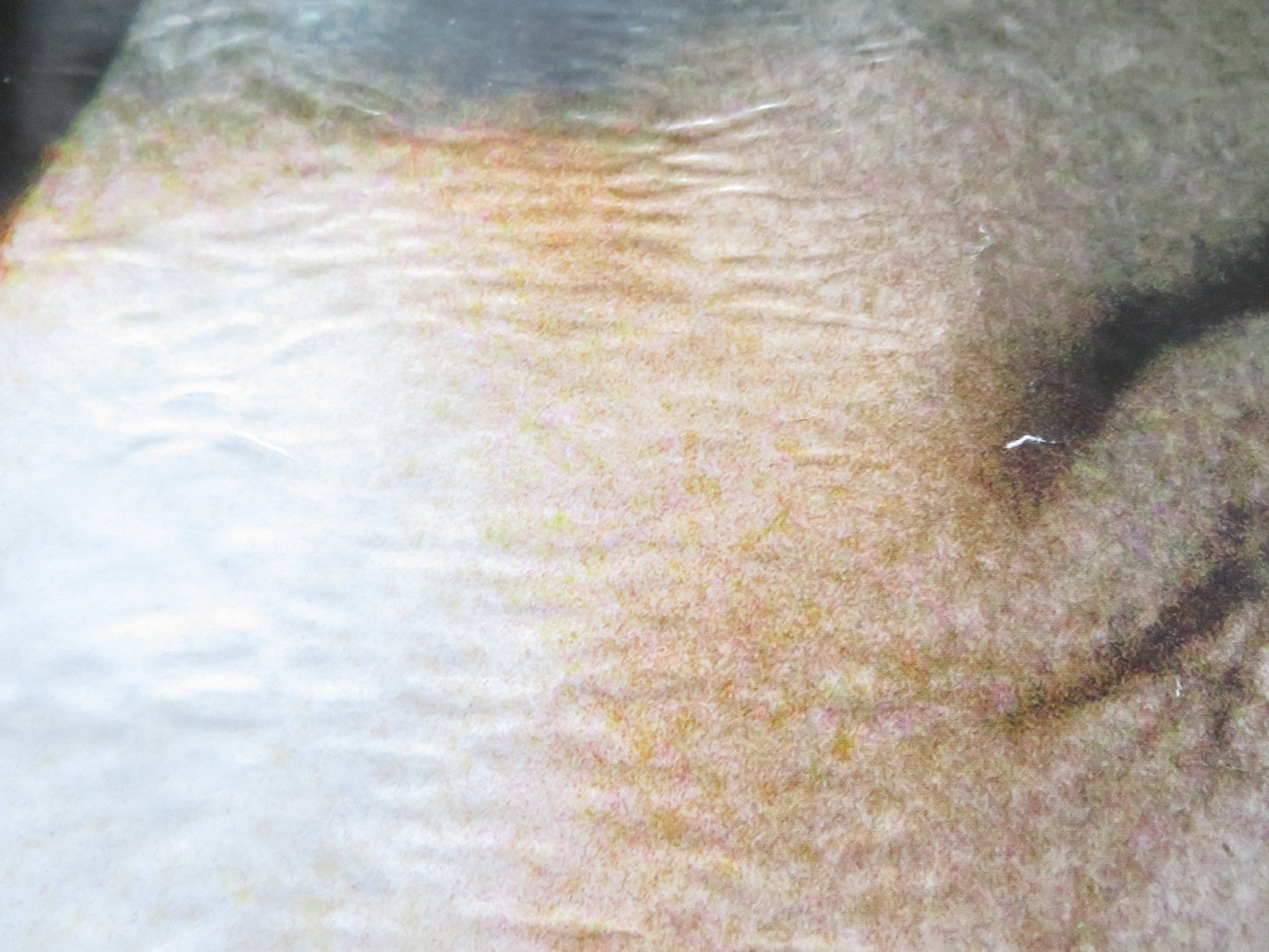 EYE OF THE BEHOLDER UK QUAD (30"x 40") ROLLED POSTER EWAN MCGREGOR 1999 Rendezvous Cinema Movie posters