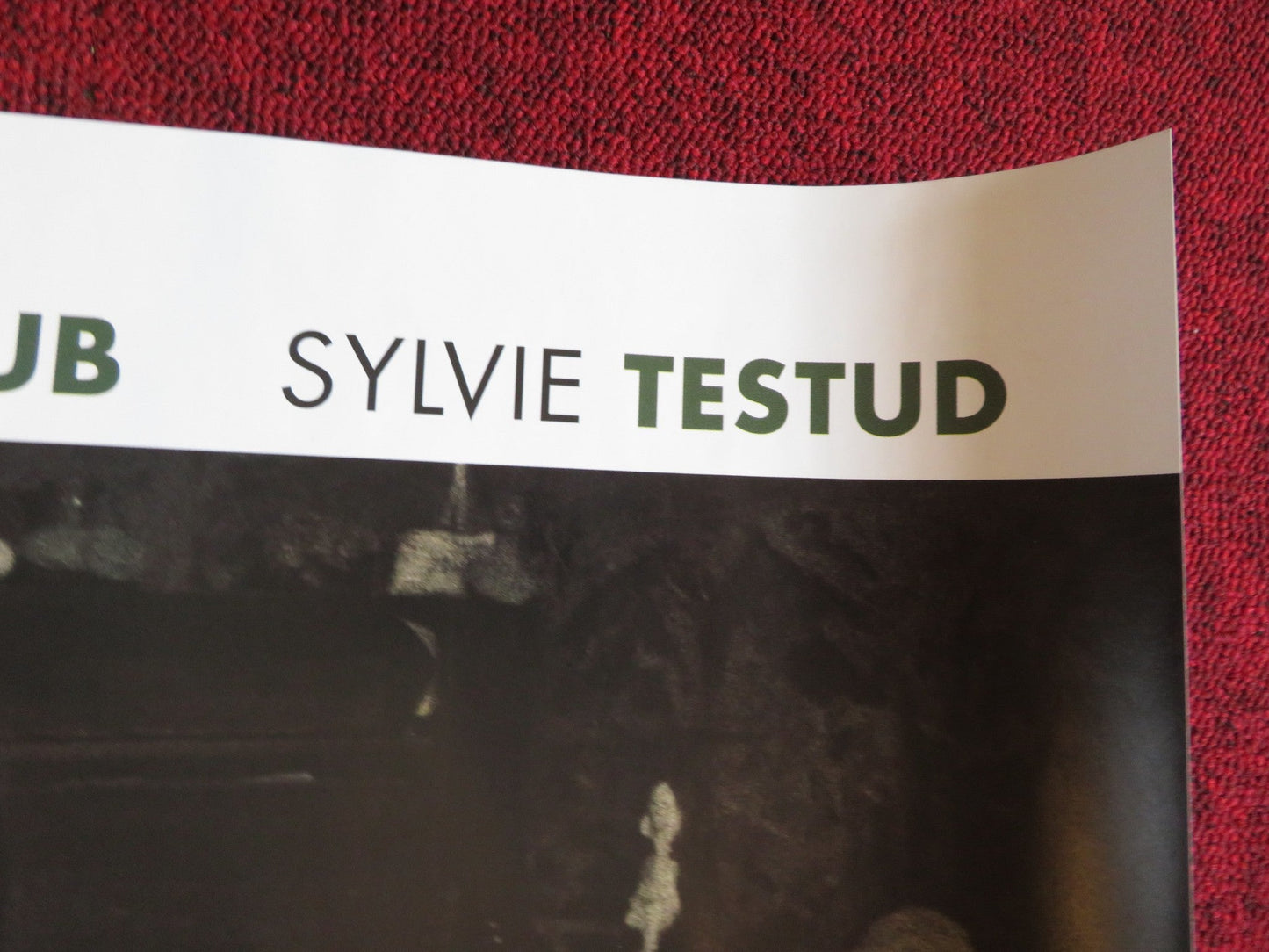 FINAL PORTRAIT UK QUAD (30"x 40") ROLLED POSTER GEOFFREY RUSH ARMIE HAMMER 2017 Rendezvous Cinema Movie posters