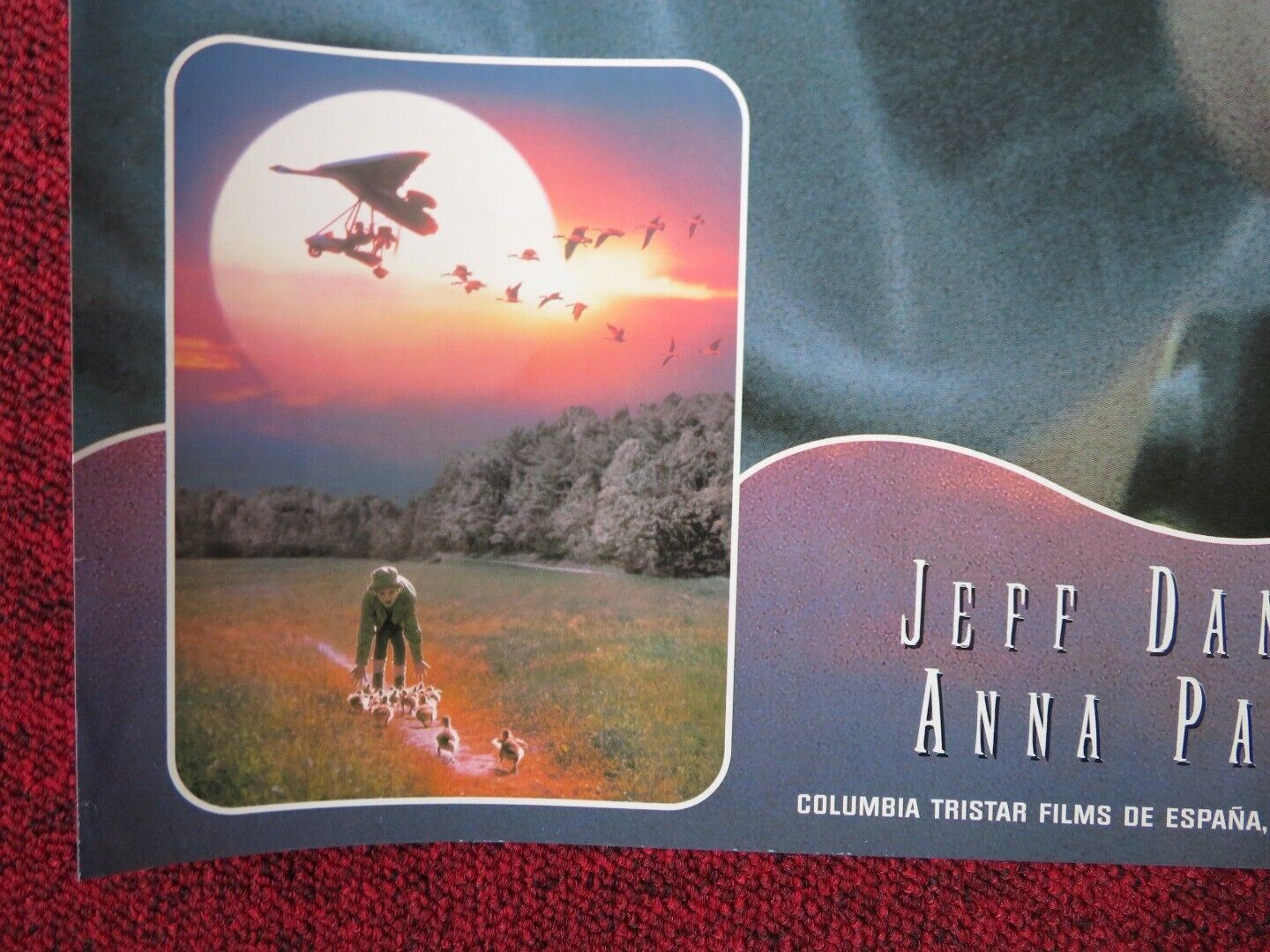 FLY AWAY HOME - A ITALIAN FOTOBUSTA POSTER JEFF DANIELS ANNA PAQUIN 1996 Movie posters