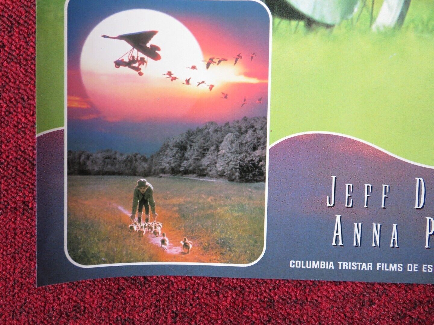 FLY AWAY HOME - D ITALIAN FOTOBUSTA POSTER JEFF DANIELS ANNA PAQUIN 1996 - Rendezvous Cinema