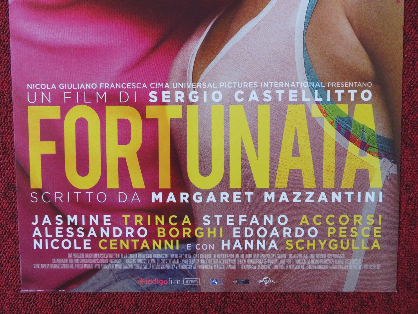 FORTUNATA ITALIAN LOCANDINA POSTER JASMIN TRINCA STEFANO ACCORSI 2017 Rendezvous Cinema Movie posters
