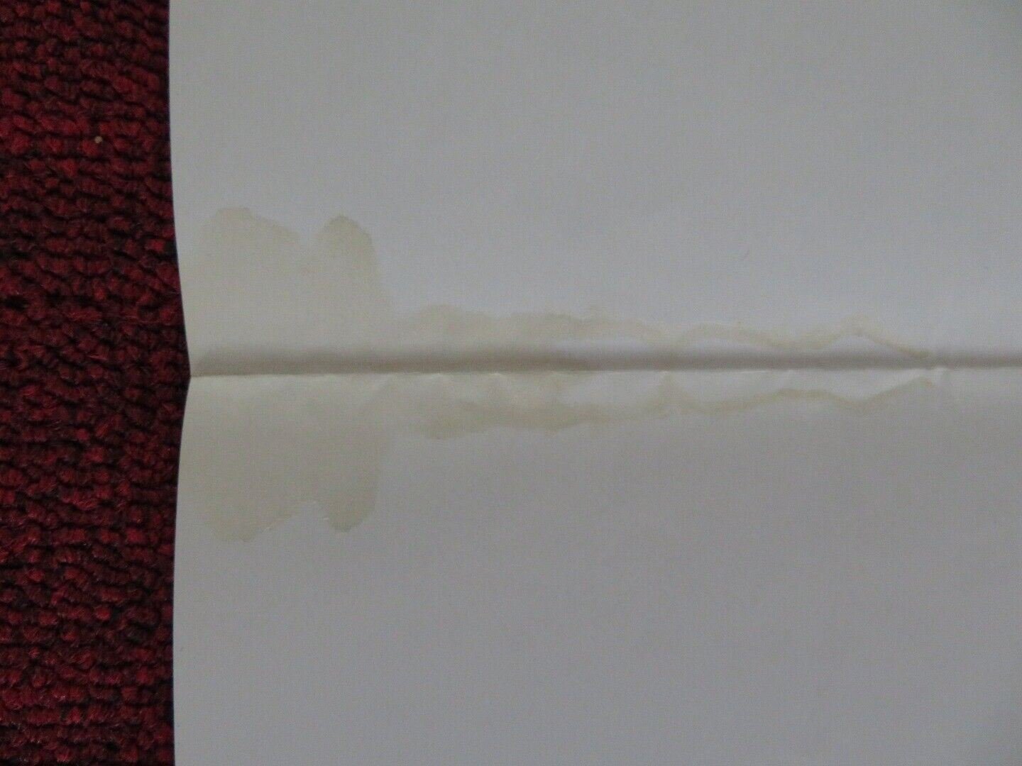 FRATERNITY ROW FOLDED U.S ONE SHEET POSTER ANGELA ABER SCOTT BROWN 1977 Movie posters