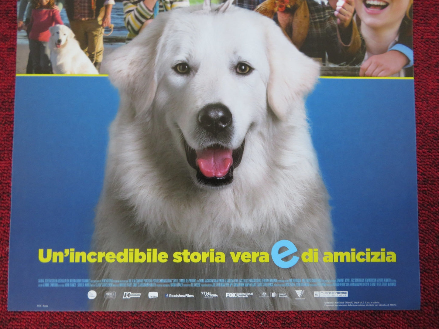 GIOTTO L'AMICO DEI PINGUINI ITALIAN LOCANDINA (26.5"x12.5") POSTER 2015 Rendezvous Cinema Movie posters