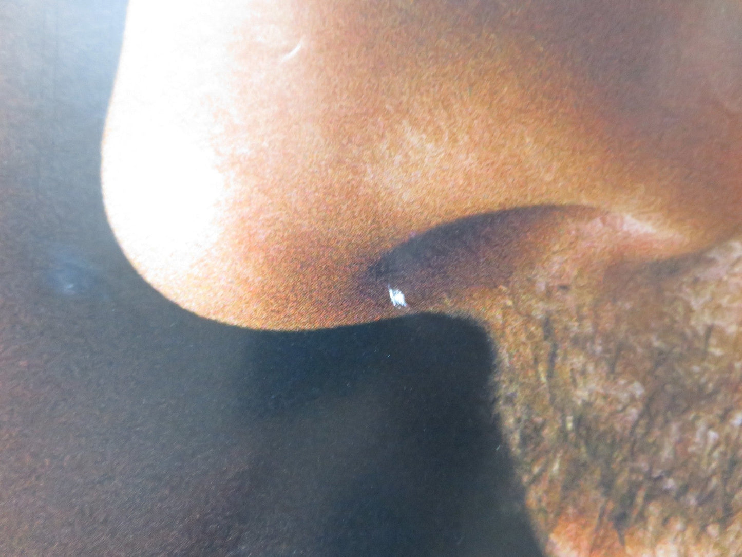 GIRL WITH A PEARL EARRING UK QUAD (30"x 40") ROLLED POSTER JOHANSSEN FIRTH 2003 Rendezvous Cinema Movie posters