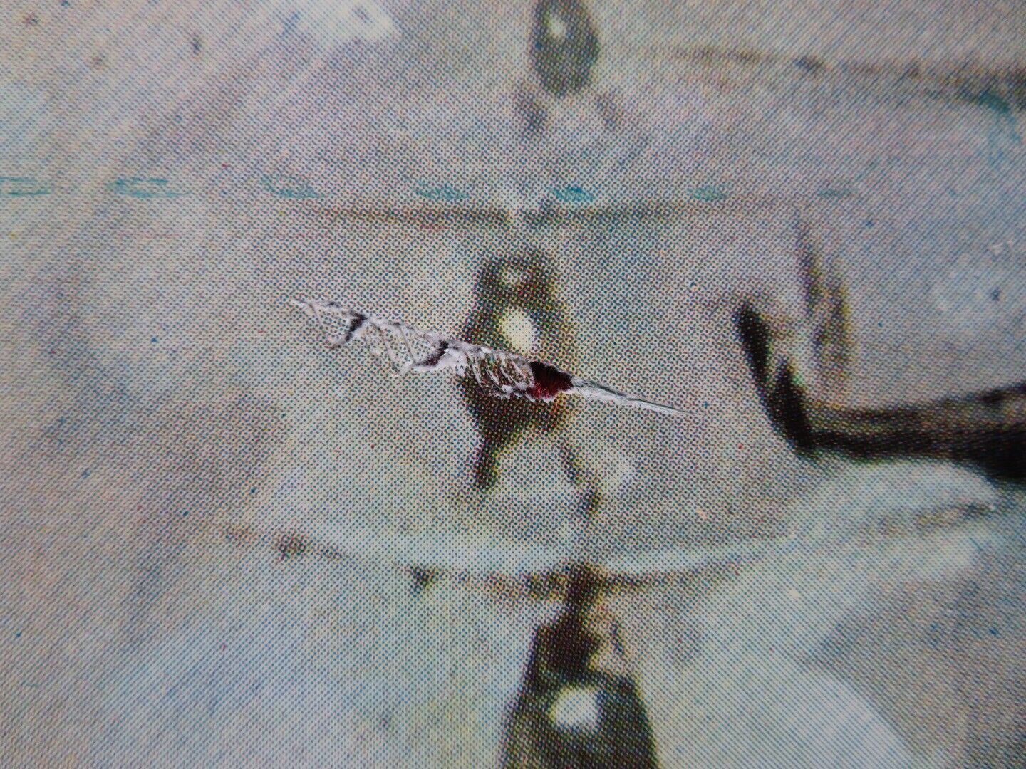 GLI ARDITI DEL 7 FUCILIERI ITALIAN FOGLIO ROLLED POSTER MICHAEL CONNORS 1958 Movie posters