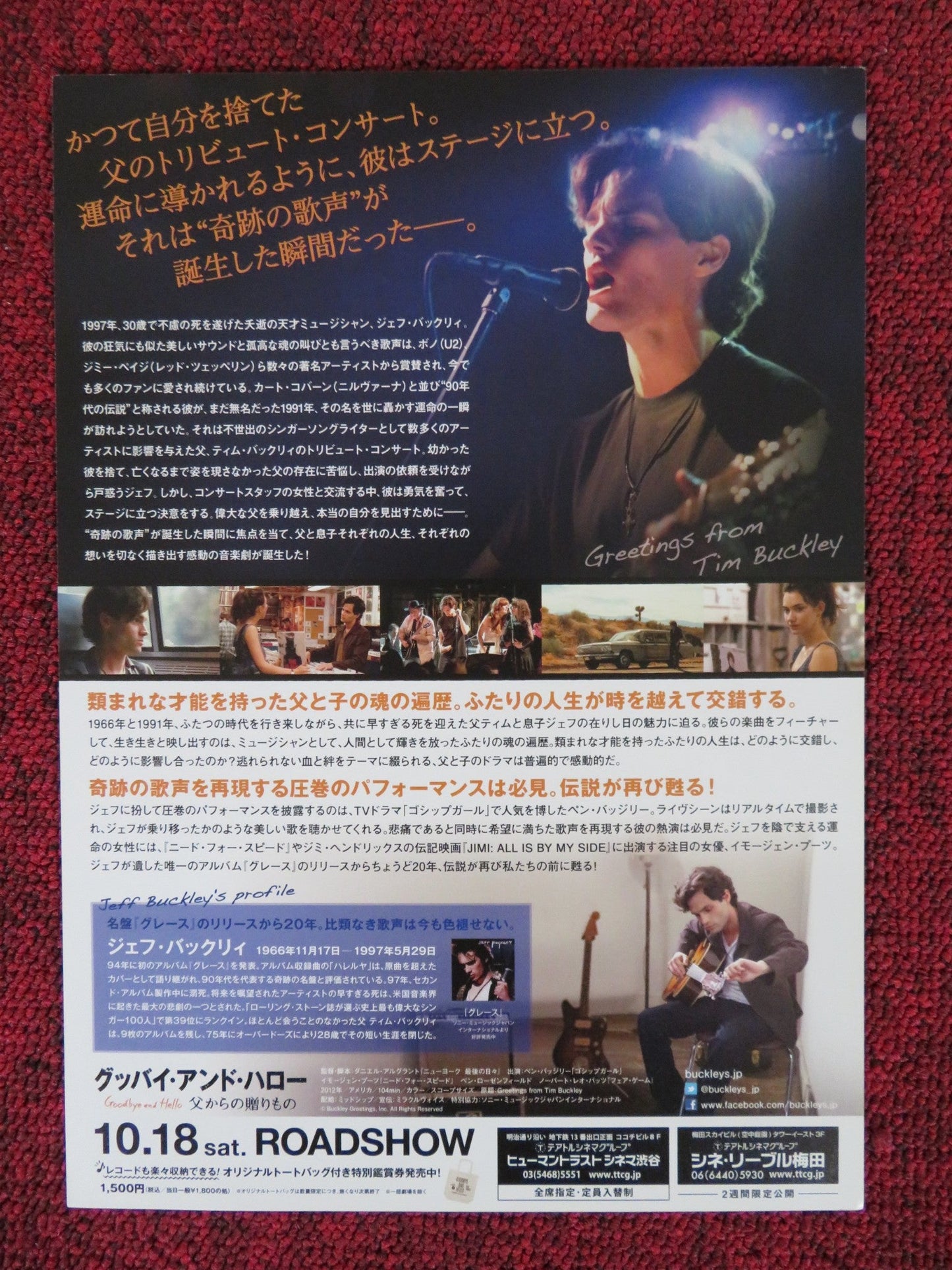 GREETINGS FROM TIM BUCKLEY JAPANESE CHIRASHI (B5) POSTER PENN BADGLEY POOTS 2012 Rendezvous Cinema Movie posters