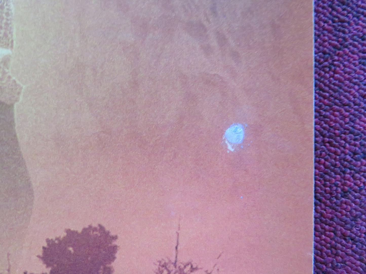 HALF OF A YELLOW SUN UK QUAD ROLLED POSTER THANDIWE NEWTON CHIWETEL EJIOFOR 2013 Rendezvous Cinema Movie posters