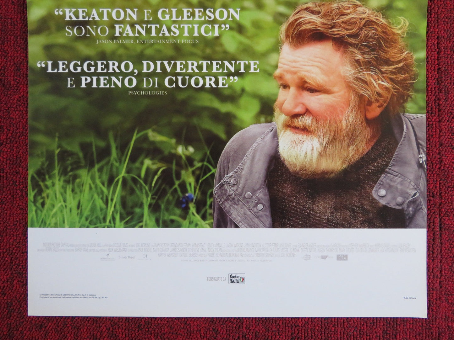 HAMPSTEAD ITALIAN LOCANDINA POSTER DIANE KEATON BRENDAN GLEESON 2017 Rendezvous Cinema Movie posters