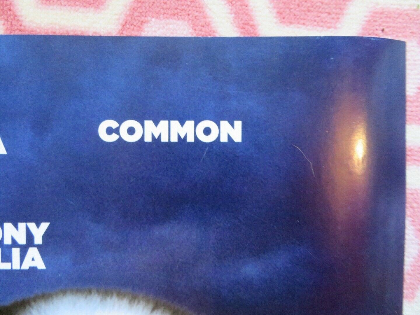 HAPPY FEET 2 QUAD (30"x 40") ROLLED POSTER ELIJAH WOOD ROBIN WILLIAMS BRAD PITT Movie posters