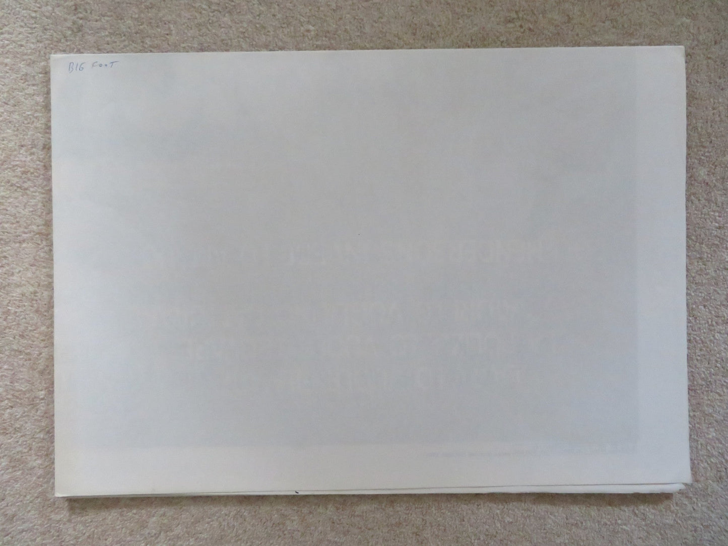 HARRY AND THE HENDERSONS - B ITALIAN 2 FOGLIO POSTER JOHN LITHGOW M. DILLON 1987 Rendezvous Cinema Movie posters