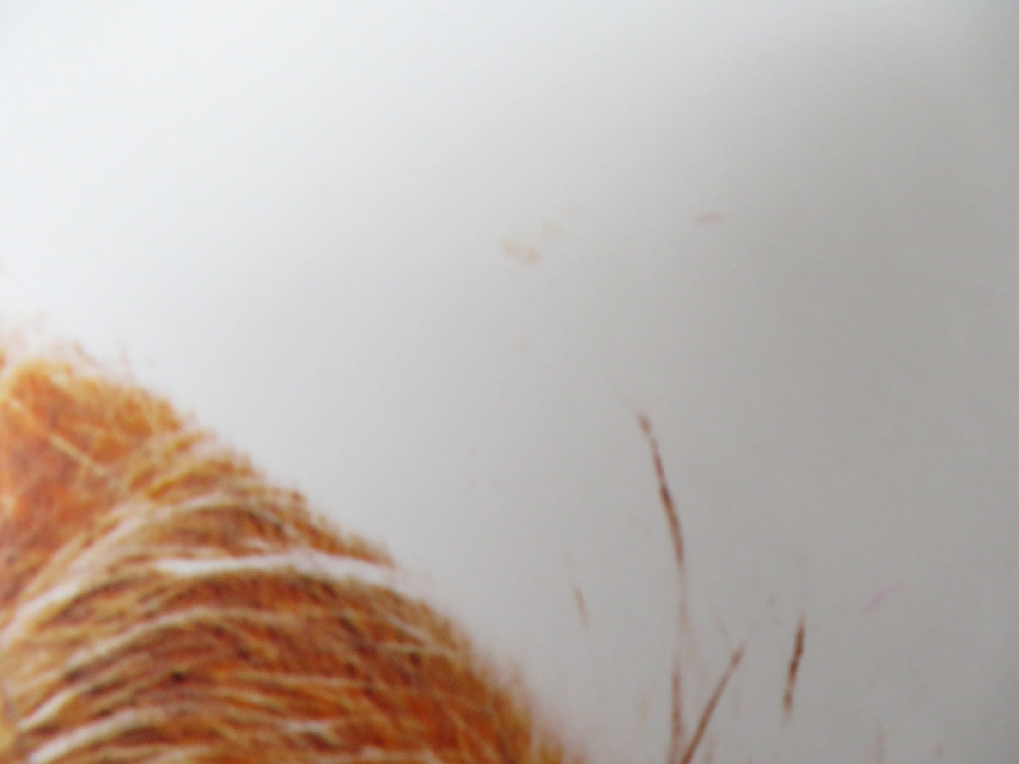 HONEY, I SHRUNK THE KIDS GERMAN A1 POSTER RICK MORANIS MATT FREWER 1989 Rendezvous Cinema Movie posters