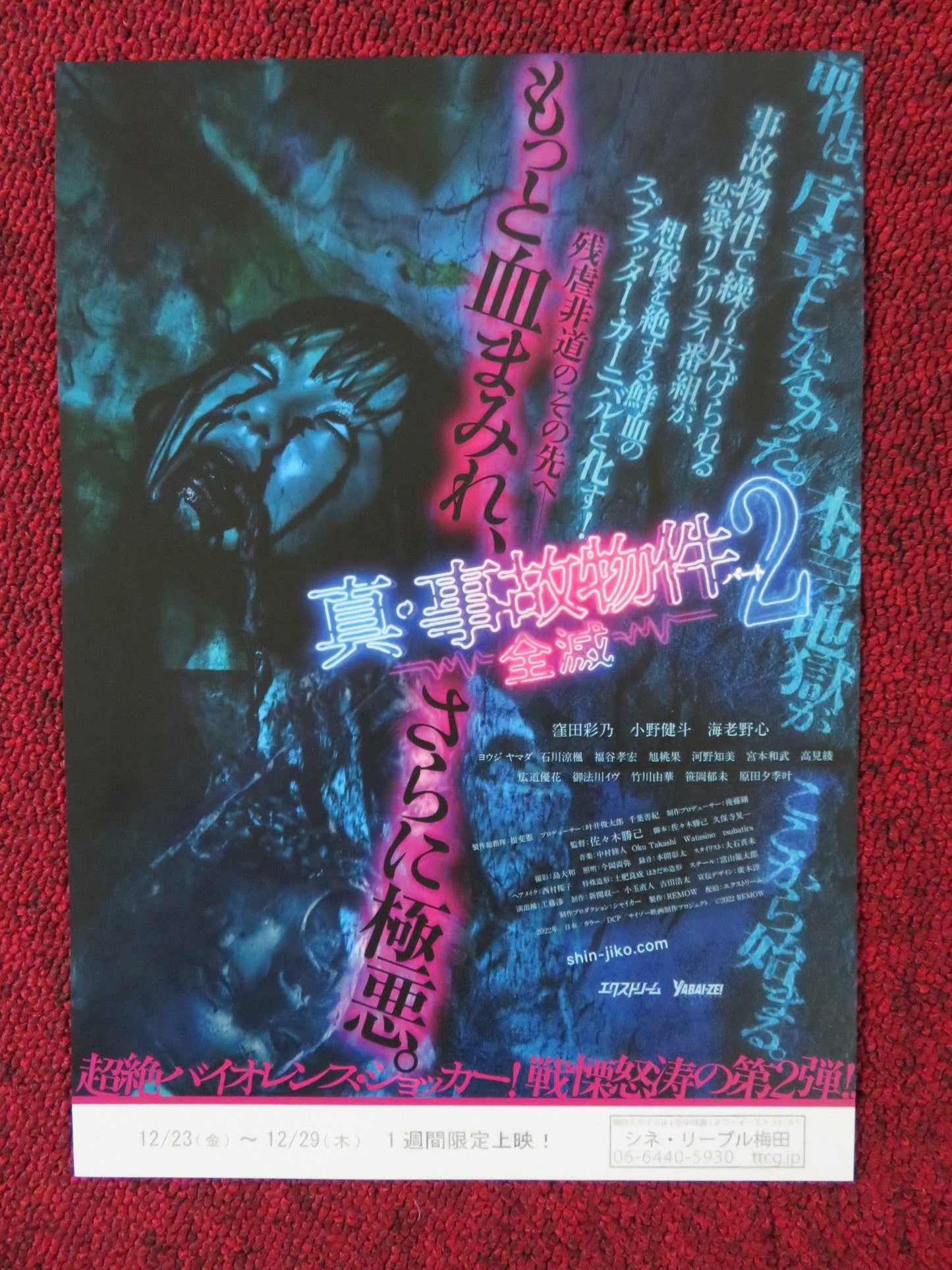HOSHI NI NEGAIWO JAPANESE CHIRASHI (B5) POSTER IBUKI KANEDA KIMIKA MASADA 2019 Rendezvous Cinema Movie posters