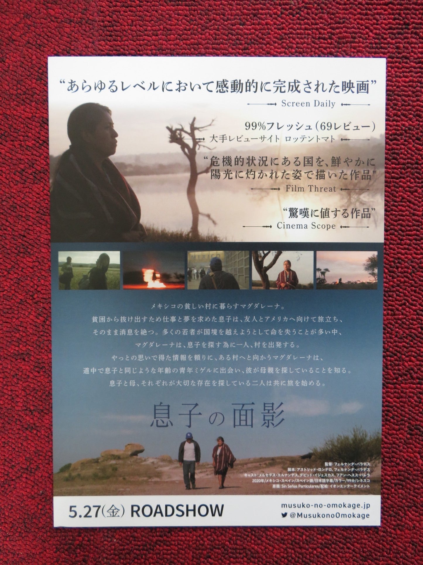 IDENTIFYING FEATURES JAPANESE CHIRASHI (B5) POSTER FERNANDA VALADEZ 2020 Rendezvous Cinema Movie posters