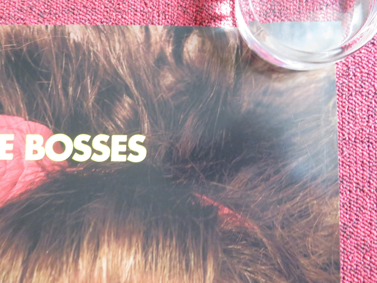 IDENTITY THIEF US ONE SHEET ROLLED POSTER JASON BATEMAN MELISSA MCCARTHY 2013 Rendezvous Cinema Movie posters