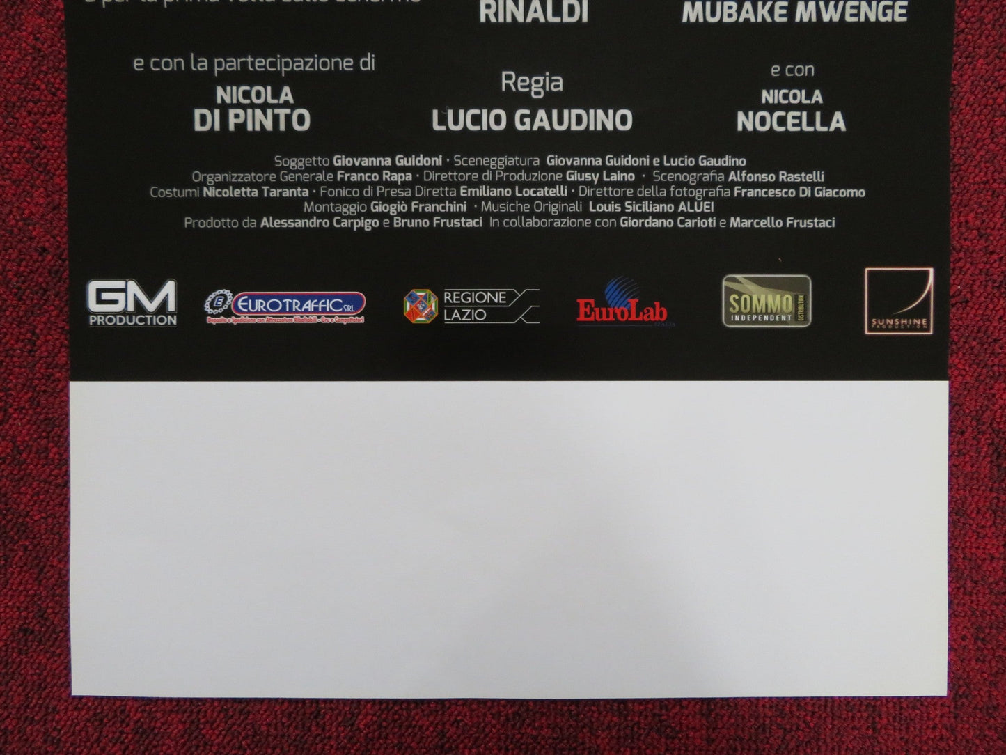 IL CAMIONISTA ITALIAN LOCANDINA POSTER SIMONA BORIONI PIPPO DELBONO 2016 Rendezvous Cinema Movie posters