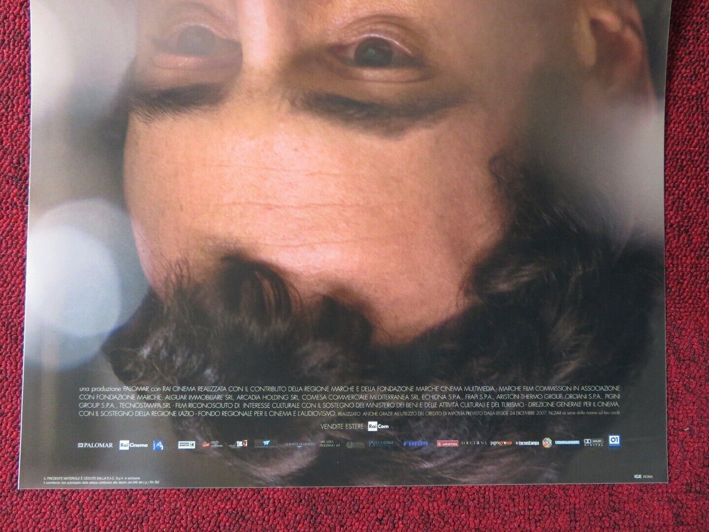 IL GIOVANE FAVOLOSO ITALIAN LOCANDINA (26.5"x13") POSTER ELIO GERMANO 2014 Movie posters