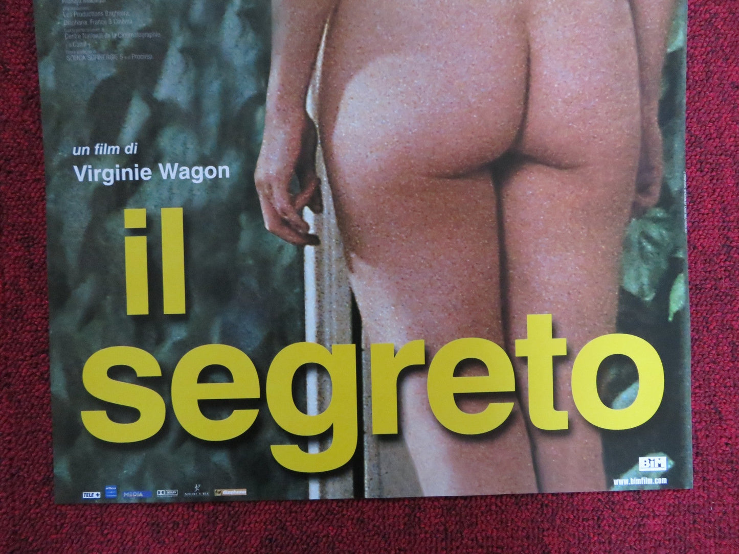 IL SEGRETO ITALIAN LOCANDINA POSTER ANNE COESENS TONY TODD 2000 Rendezvous Cinema Movie posters