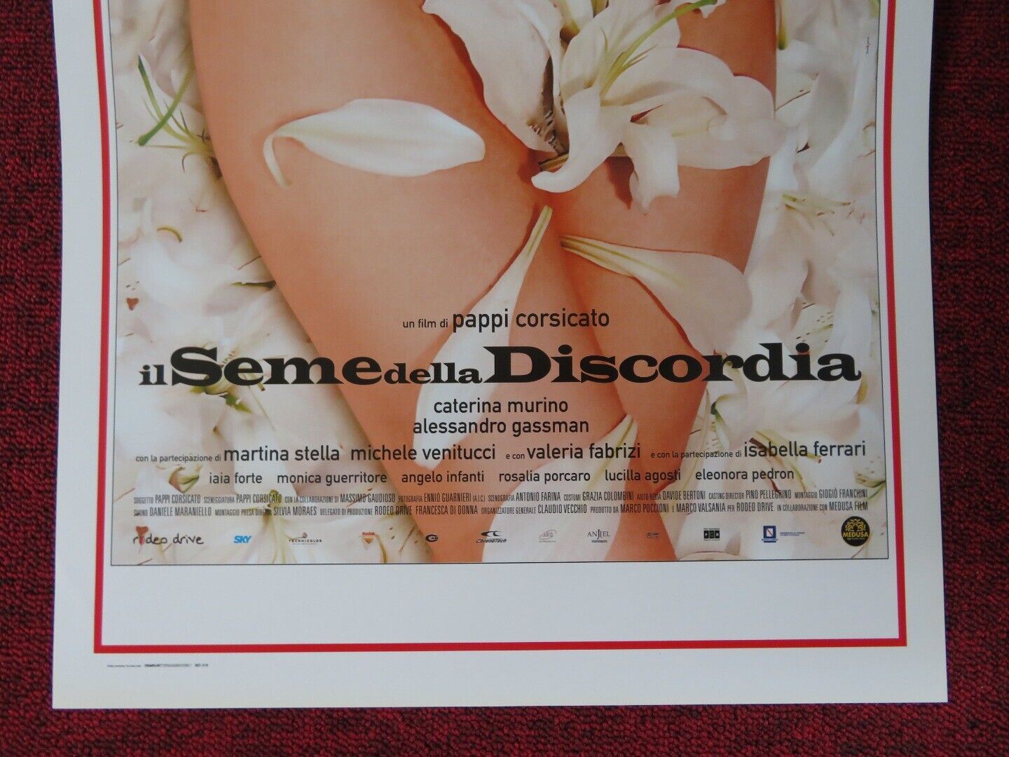 IL SEMEDELLA DISCORDIA ITALIAN LOCANDINA (27.5"x13") POSTER A GASSMAN 2008 Movie posters