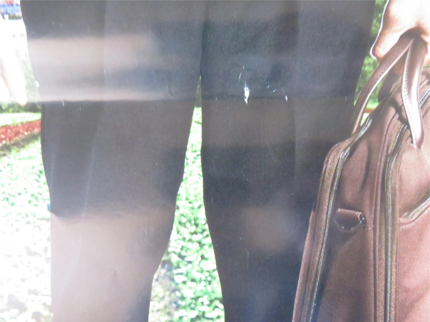 IL VEGETALE ITALIAN LOCANDINA POSTER LUCA ZINGARETTI 2018 Rendezvous Cinema Movie posters