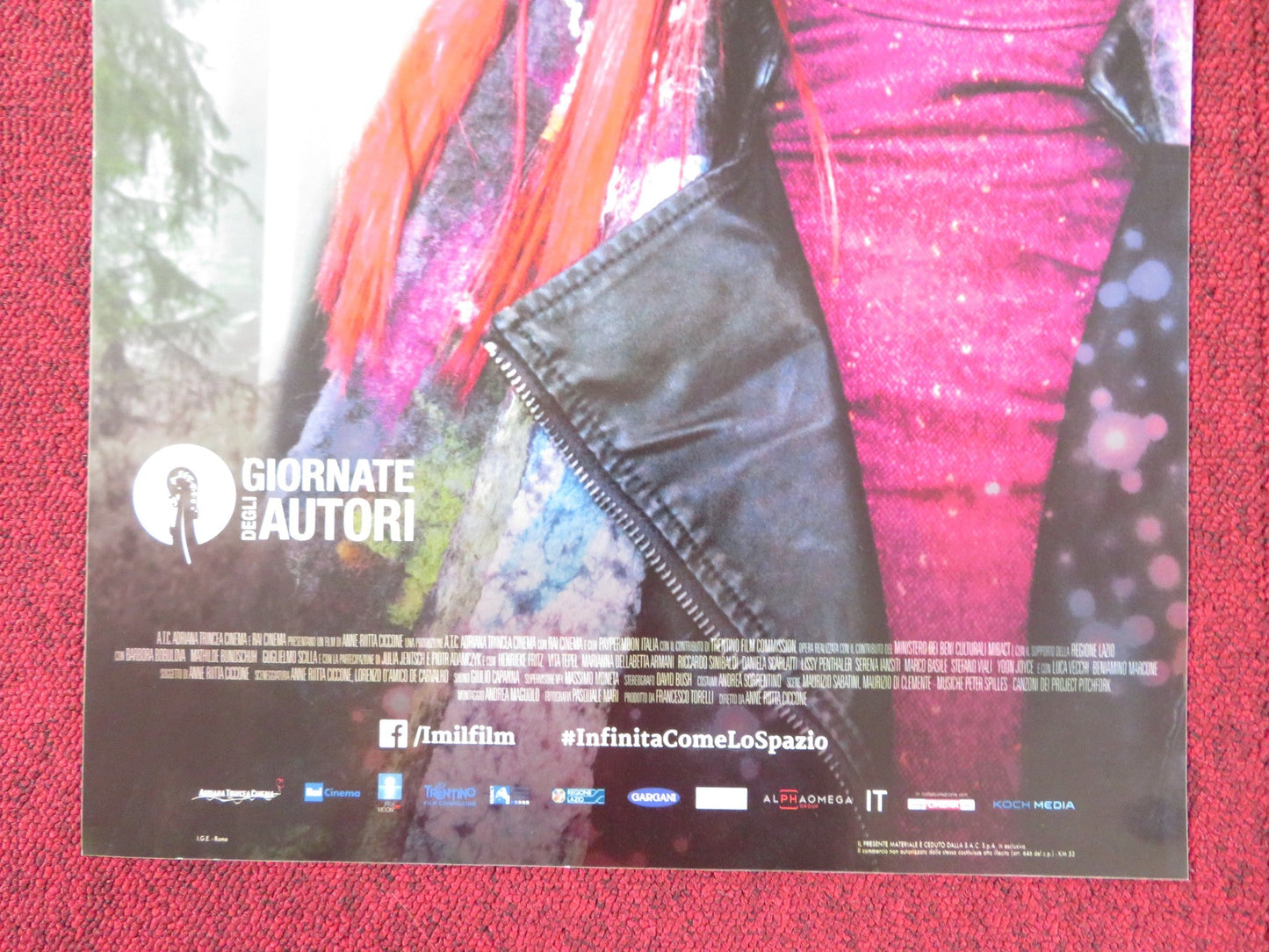 I'M - INFINITA COME LO SPAZIO ITALIAN LOCANDINA POSTER BARBORA BOBULOVA 2017 Rendezvous Cinema Movie posters