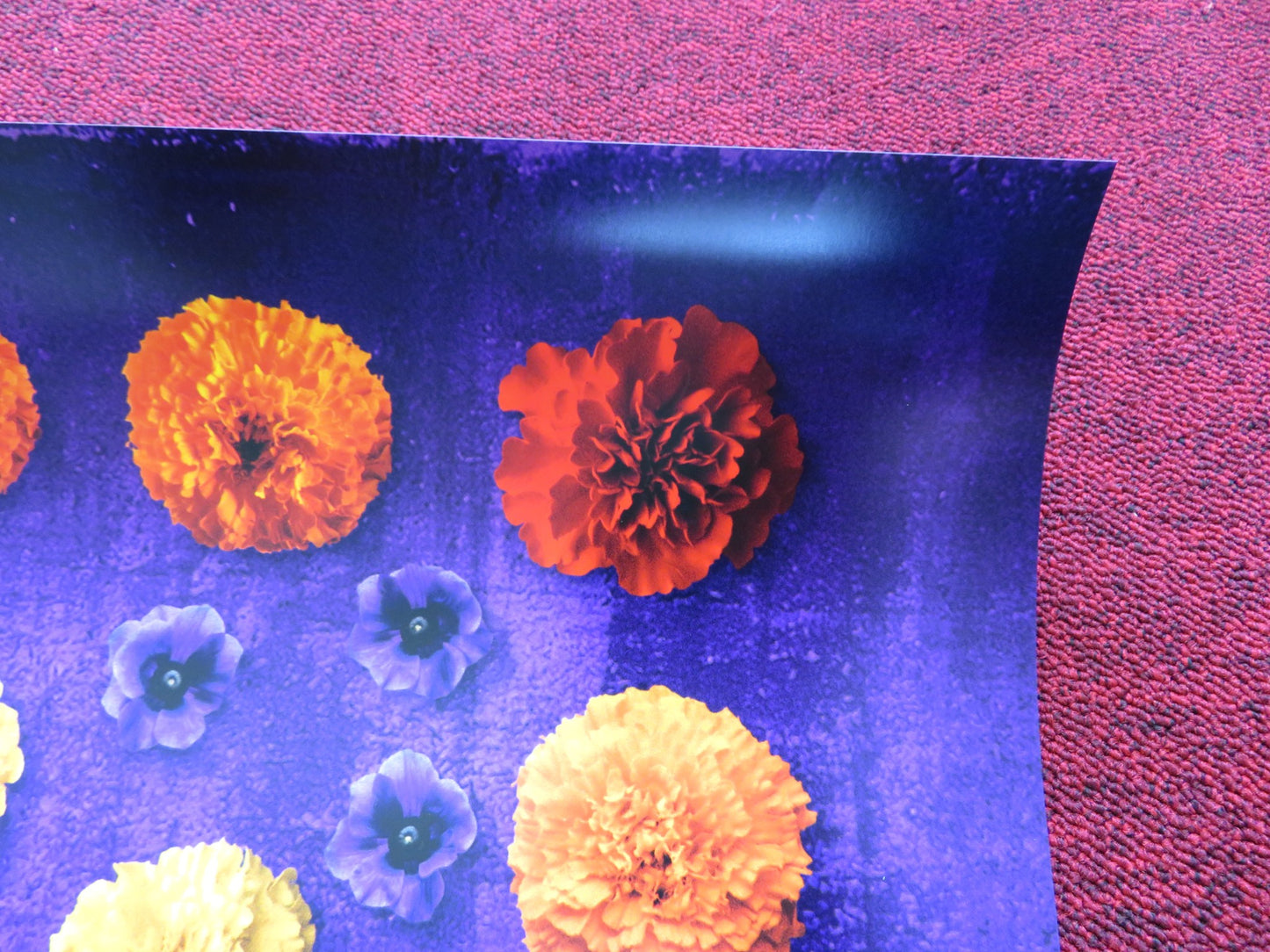 THE SECOND BEST EXOTIC MARIGOLD HOTEL US ONE SHEET ROLLED POSTER DEV PATEL 2015 - Rendezvous Cinema