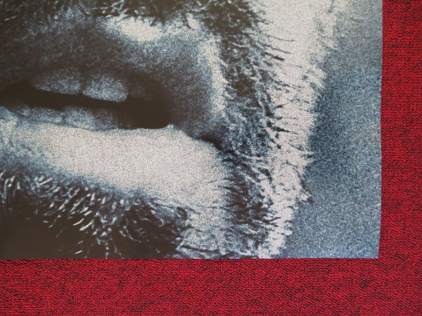 ARGO US ONE SHEET ROLLED POSTER BEN AFFLECK BRYAN CRANSTON 2012 - Rendezvous Cinema