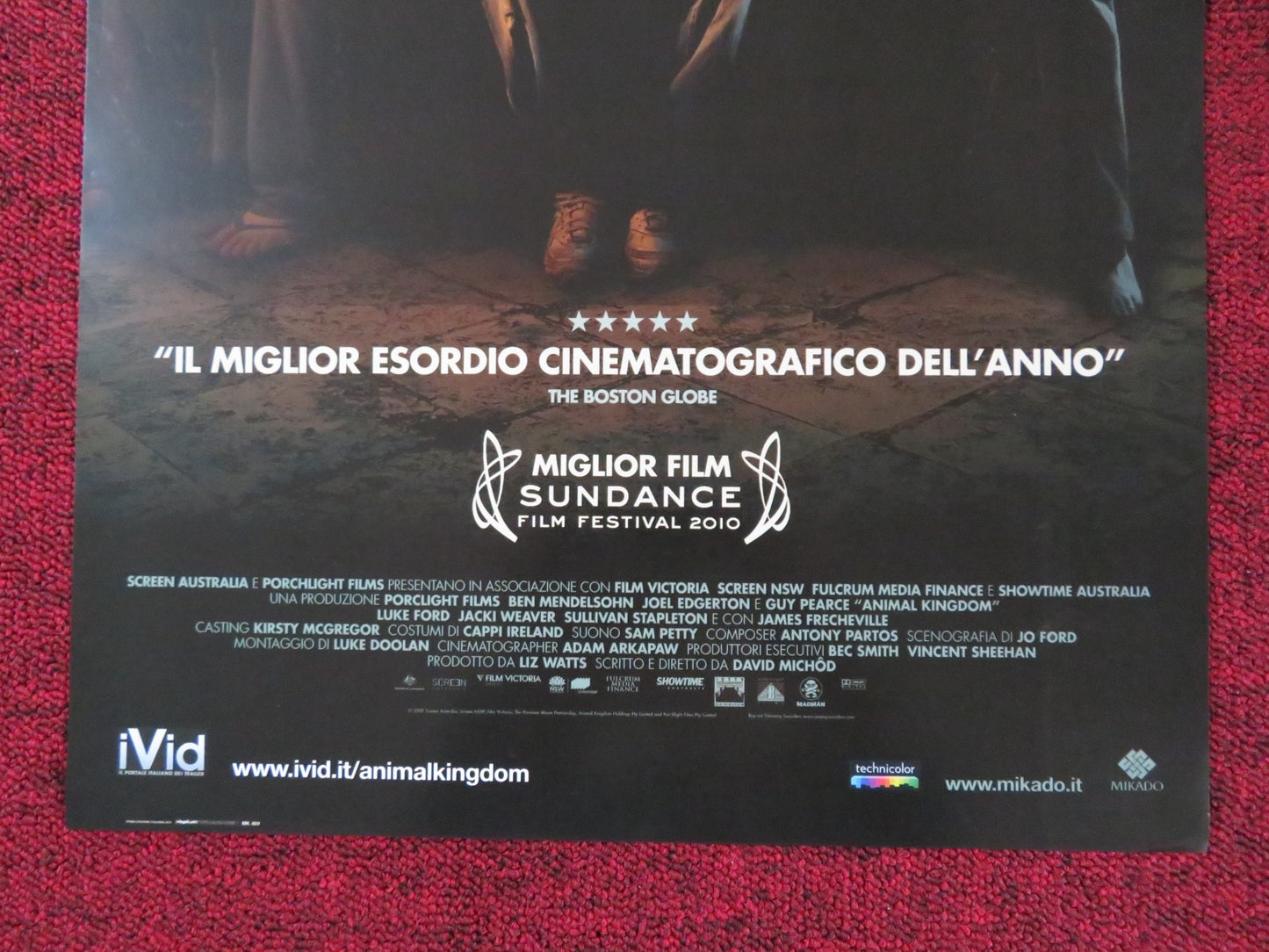 ANIMAL KINGDOM ITALIAN LOCANDINA POSTER JOEL EDGERTON GUY PEARCE 2010 - Rendezvous Cinema