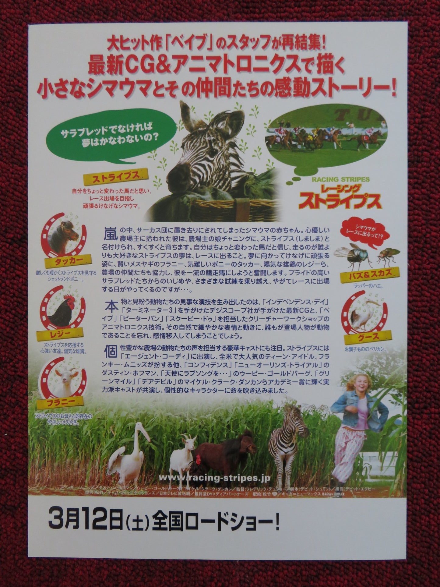 RACING STRIPES JAPANESE CHIRASHI (B5) POSTER BRUCE GREENWOOD H. PANETTIERE 2005 - Rendezvous Cinema