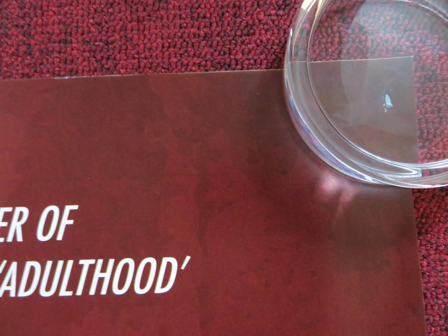 ALL THINGS TO ALL MEN UK QUAD (30"x 40") ROLLED POSTER GABRIEL BYRNE 2013 - Rendezvous Cinema