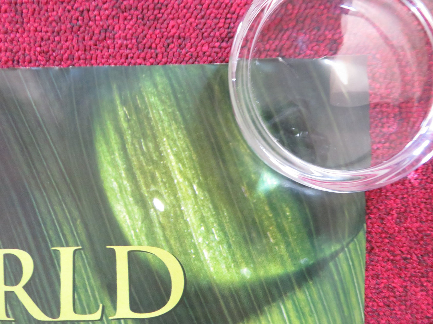 ARTHUR AND THE INVISIBLES UK QUAD (30"x 40") ROLLED POSTER FREDDIE HIGHMORE 2006 - Rendezvous Cinema