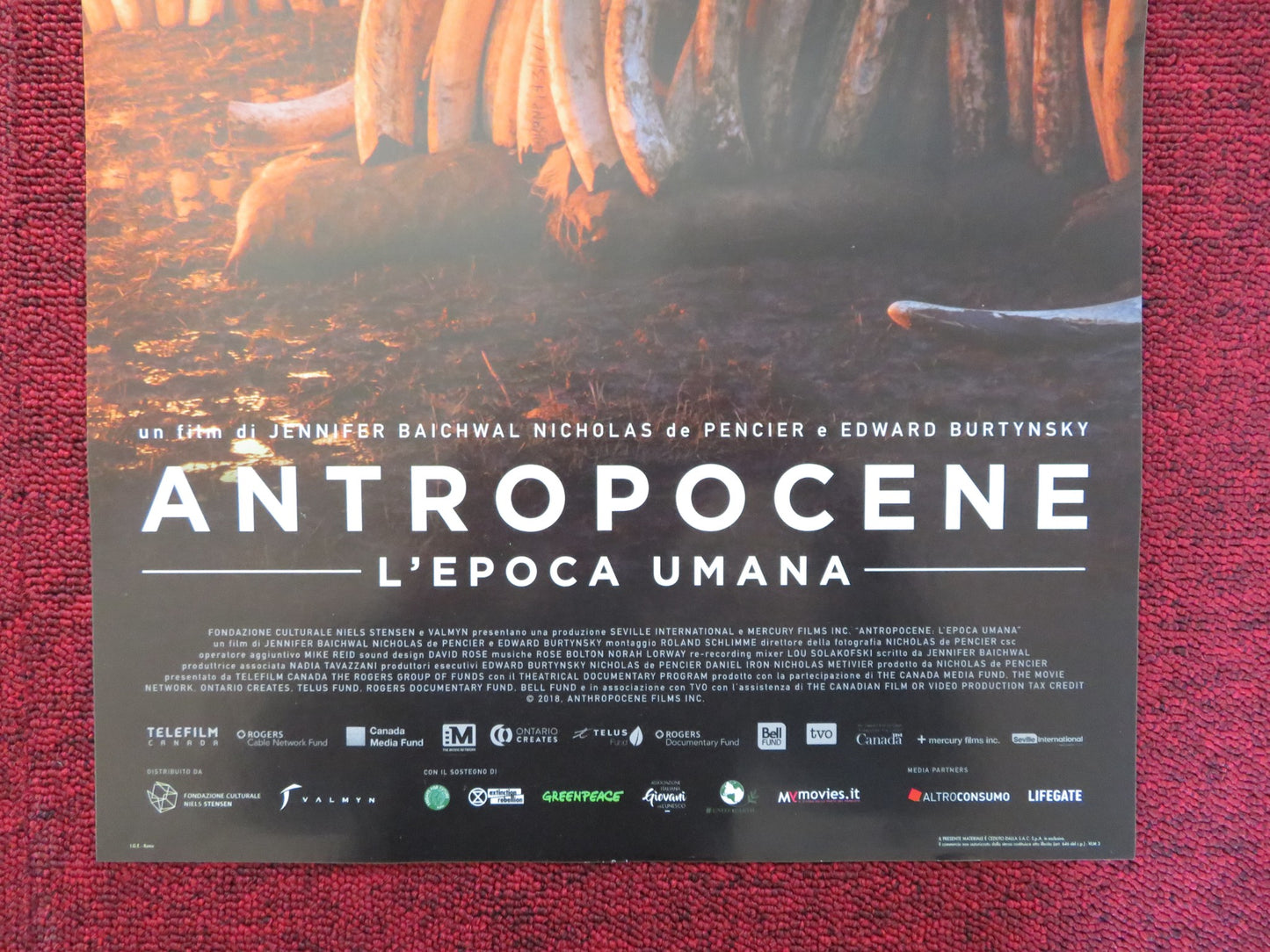 ANTROPOCENE L'EPOCA UMANA ITALIAN LOCANDINA POSTER ALICIA VIKANDER 2018 - Rendezvous Cinema