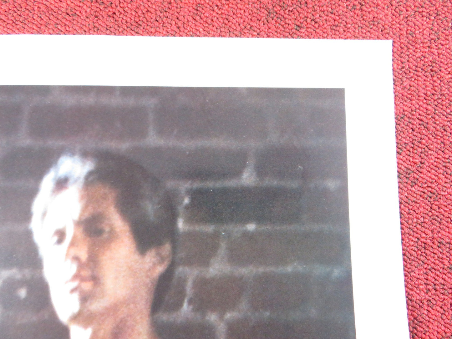 INDECENT PLEASURES US TRI FOLDED ONE SHEET ROLLED POSTER JESIE ST. JAMES 1984 Rendezvous Cinema Movie posters