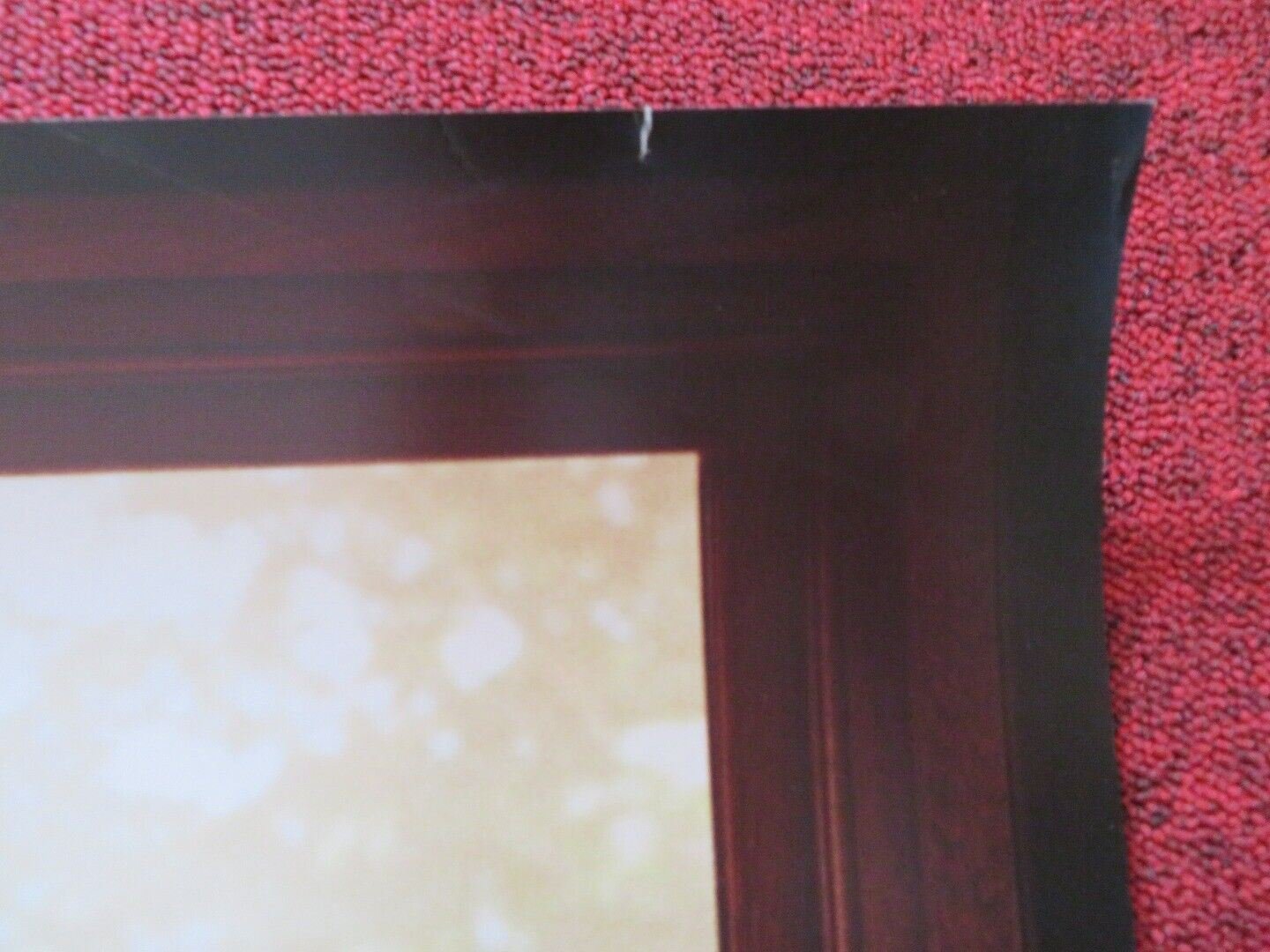 INDIGNATION US ONE SHEET ROLLED POSTER LOGAN LERMAN SARAH GADON 2016 Movie posters