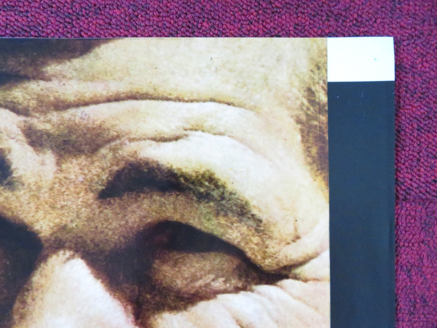 KID GALAHAD - A ITALIAN FOTOBUSTA POSTER CHARLES BRONSON ELVIS PRESLEY 1962 Rendezvous Cinema Movie posters