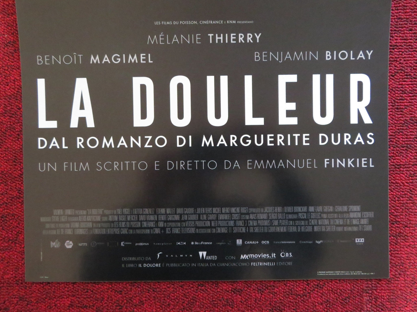 LA DOULEUR ITALIAN LOCANDINA POSTER BENOIT MAGIMEL BENJAMIN BIOLAY 2017 Rendezvous Cinema Movie posters