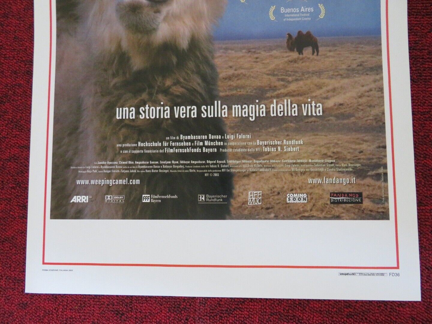 LA STORIA DEL CAMMELLO CHE PIANGE ITALIAN LOCANDINA (27.5"x13") POSTER 2003 - Rendezvous Cinema