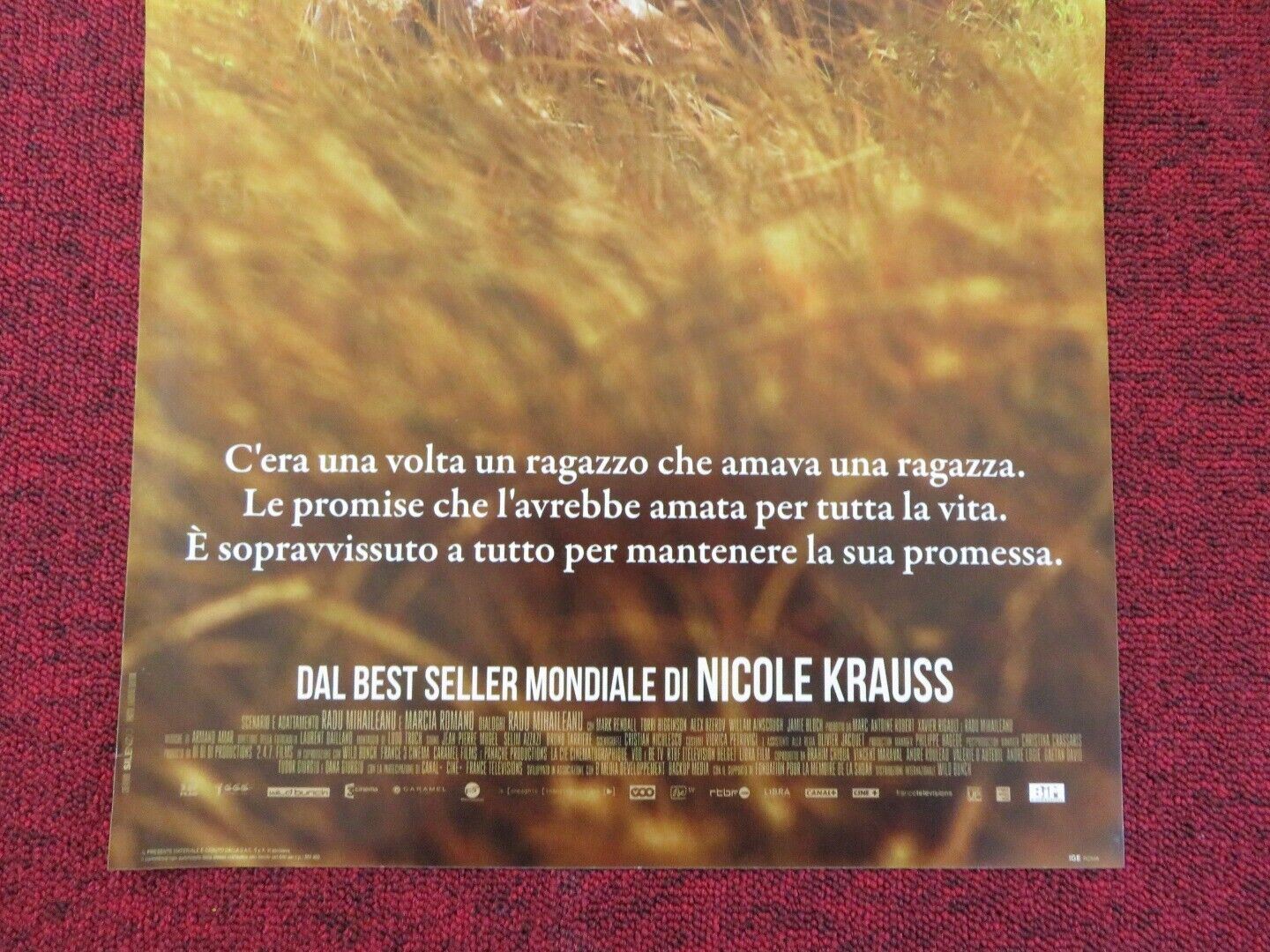 LA STORIA DELL' AMORE ITALIAN LOCANDINA (26.5"x12.5") POSTER DEREK JACOBI 2016 Rendezvous Cinema Movie posters