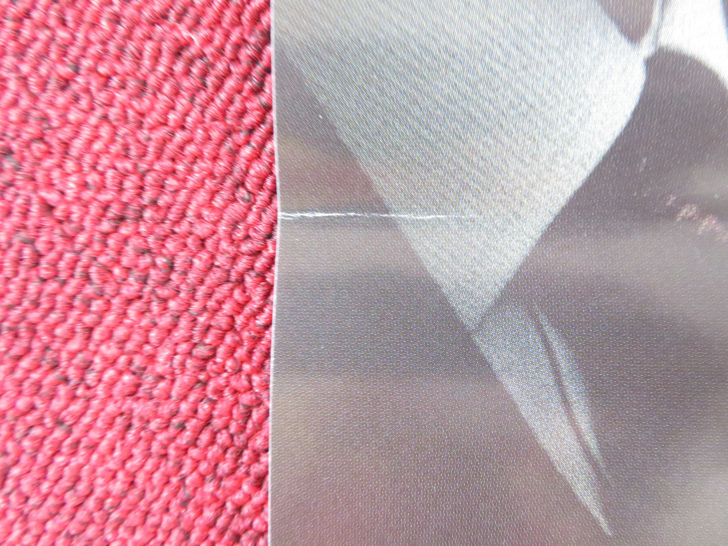 LA VERITA NEGATA ITALIAN LOCANDINA POSTER RACHEL WEISZ TIMOTHY SPALL 2016 Rendezvous Cinema Movie posters