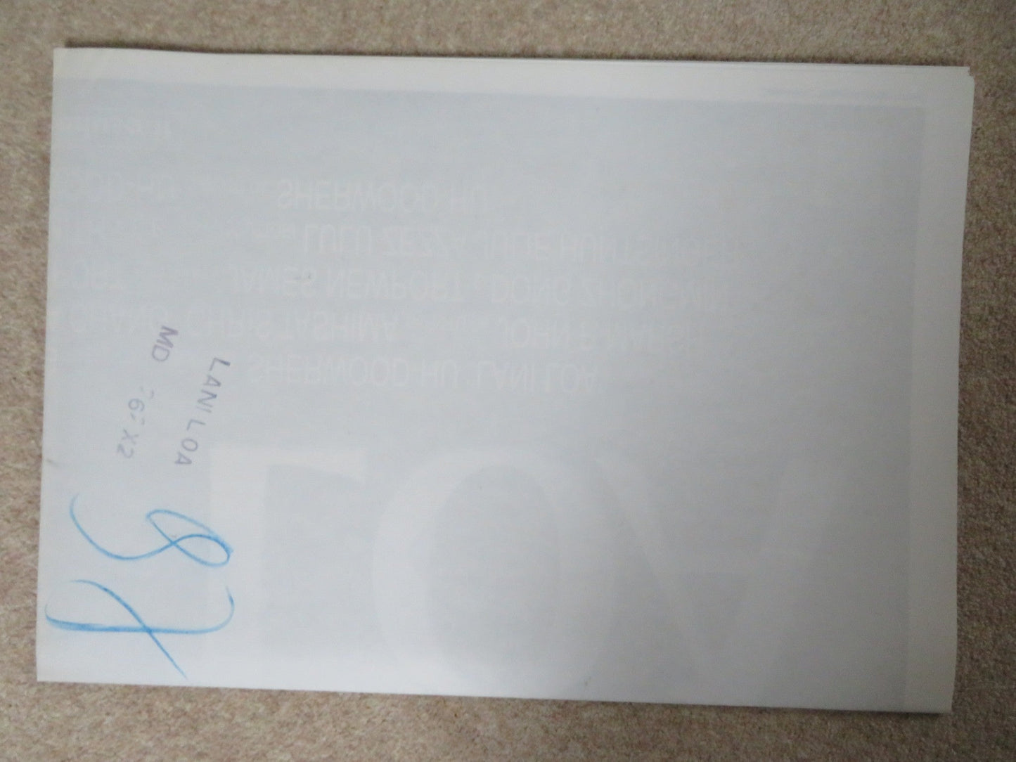 LANI LOA ITALIAN 2 FOGLIO POSTER ANGUS MACFAYDEN CARLOTTA CHANG 1998 Rendezvous Cinema Movie posters