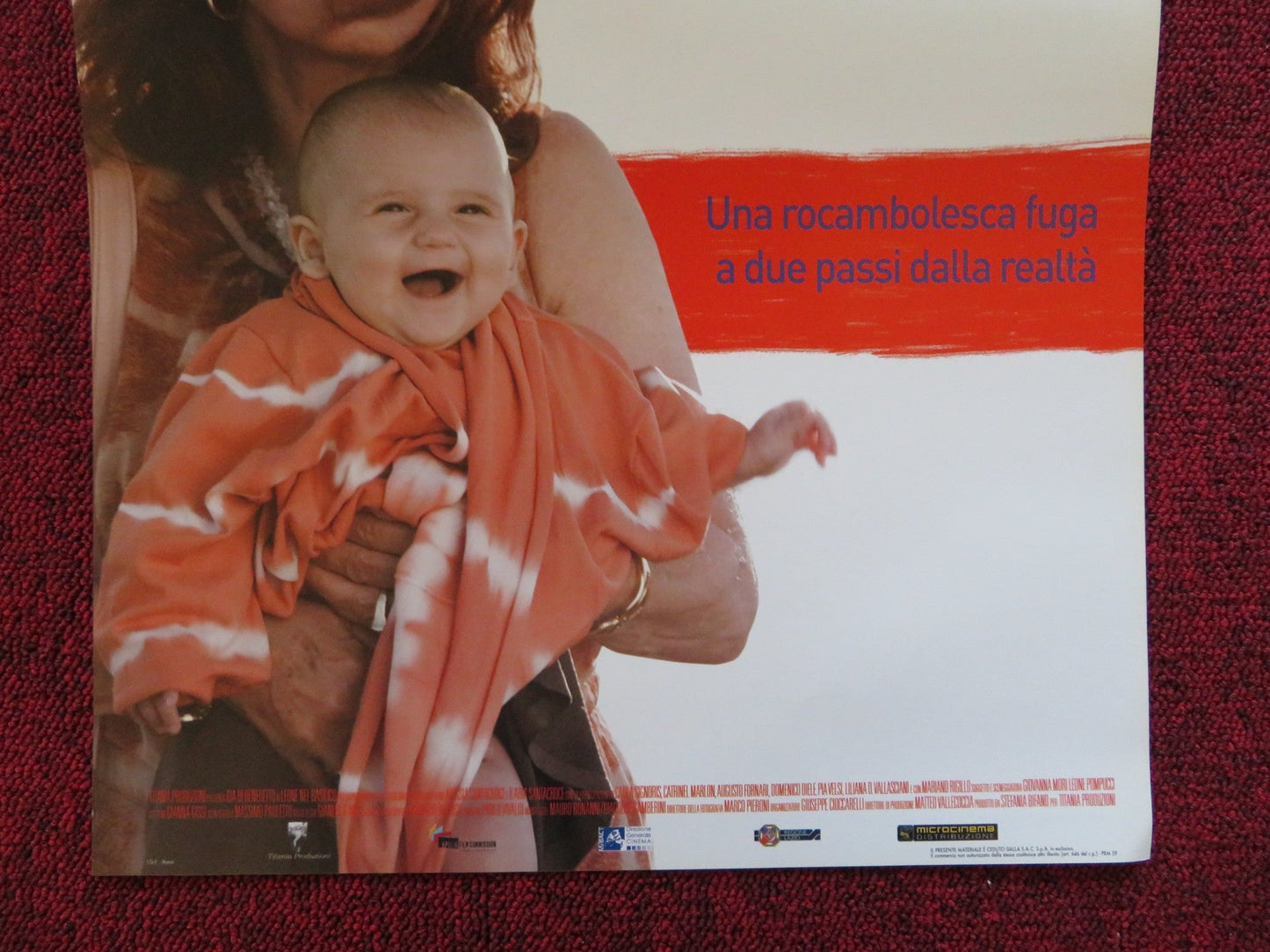 LEONE NEL BASILICO ITALIAN LOCANDINA POSTER IDA DI BENEDETTO CARLA SIGNORIS 2014 Rendezvous Cinema Movie posters