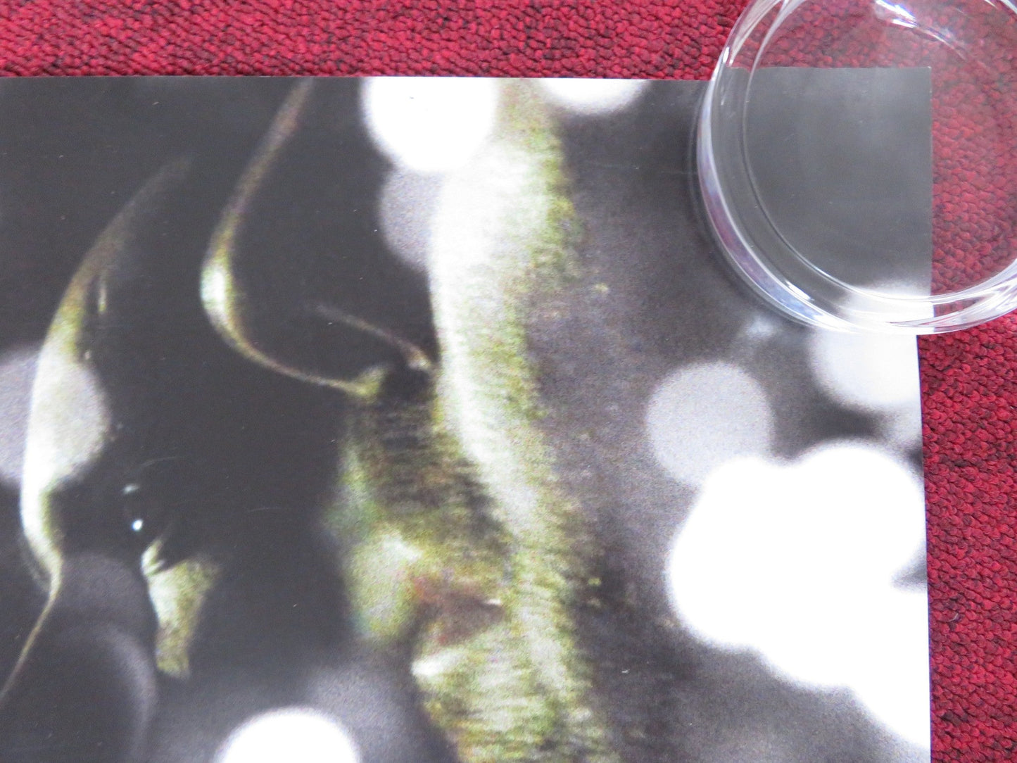 LONDON TO BRIGHTON UK QUAD ROLLED POSTER LORRAINE STANLEY GEORGIA GROOME 2006 Rendezvous Cinema Movie posters